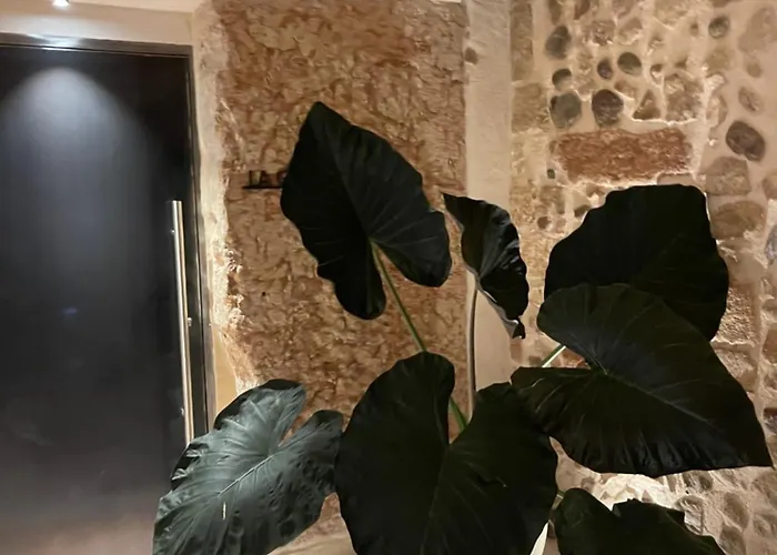 Palazzo San Zeno Apartamento